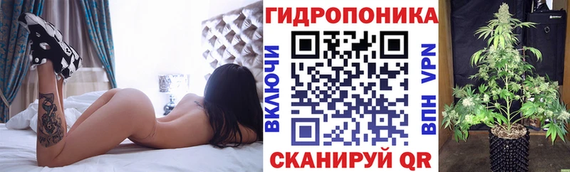 Шишки марихуана марихуана  наркота  Кувандык 